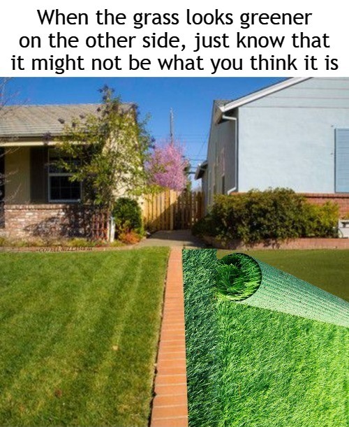 High Quality Greener Grass Could Be Astroturf Blank Meme Template