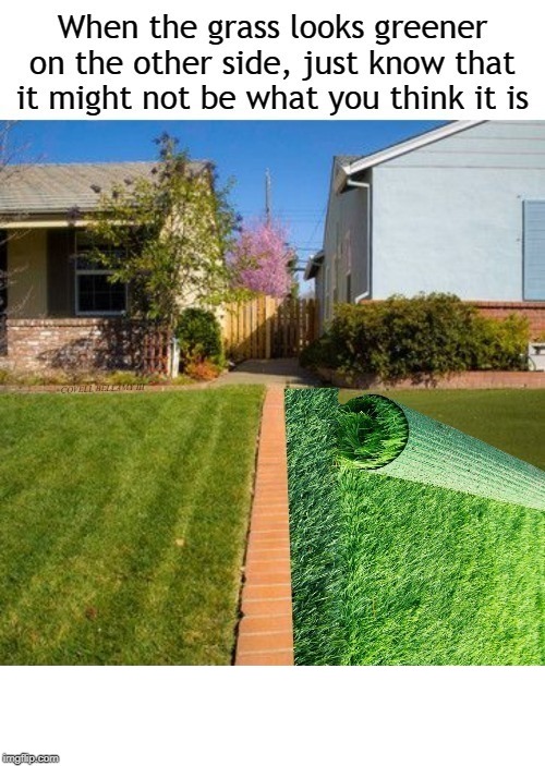 Greener Grass Could Be Astroturf | image tagged in greener grass could be astroturf | made w/ Imgflip meme maker