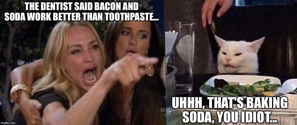 woman yelling at cat | THE DENTIST SAID BACON AND SODA WORK BETTER THAN TOOTHPASTE... UHHH, THAT'S BAKING SODA, YOU IDIOT... | image tagged in woman yelling at cat | made w/ Imgflip meme maker
