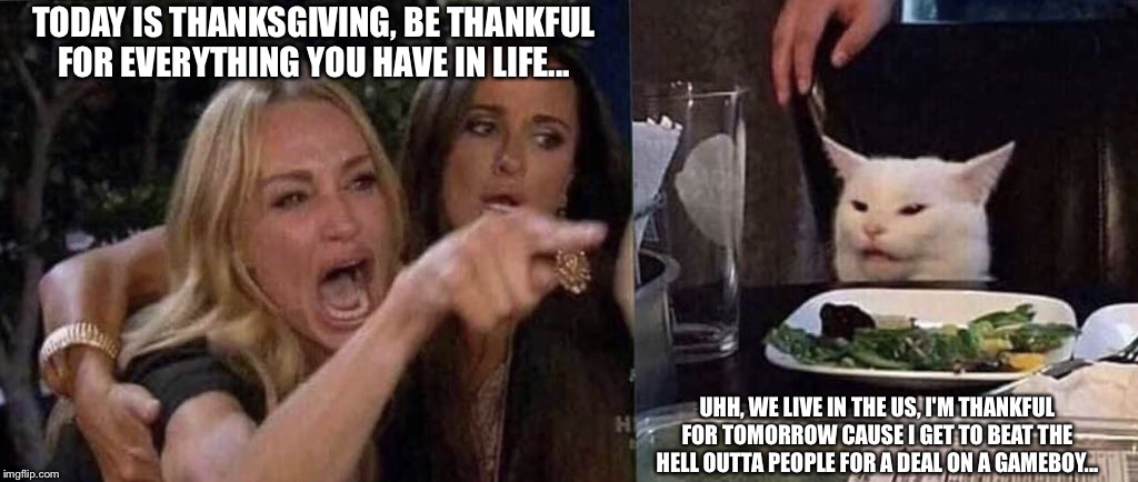 woman yelling at cat | TODAY IS THANKSGIVING, BE THANKFUL FOR EVERYTHING YOU HAVE IN LIFE... UHH, WE LIVE IN THE US, I'M THANKFUL FOR TOMORROW CAUSE I GET TO BEAT THE HELL OUTTA PEOPLE FOR A DEAL ON A GAMEBOY... | image tagged in woman yelling at cat | made w/ Imgflip meme maker