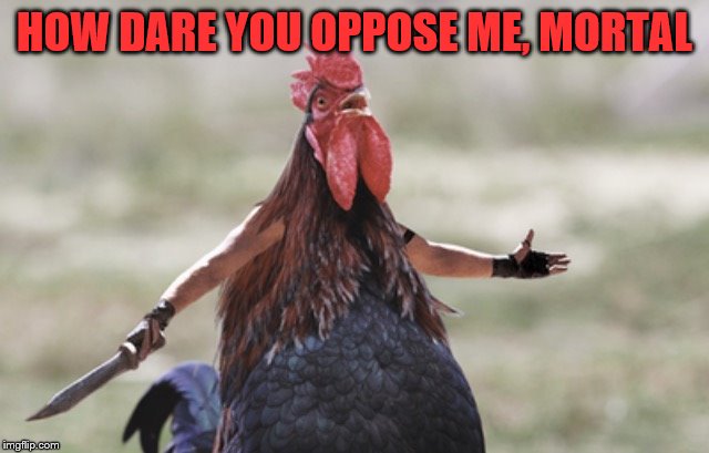 Angry chicken | HOW DARE YOU OPPOSE ME, MORTAL | image tagged in angry chicken | made w/ Imgflip meme maker