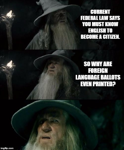 Confused Gandalf | CURRENT FEDERAL LAW SAYS YOU MUST KNOW ENGLISH TO BECOME A CITIZEN. SO WHY ARE FOREIGN LANGUAGE BALLOTS EVEN PRINTED? | image tagged in memes,confused gandalf,random,voting | made w/ Imgflip meme maker
