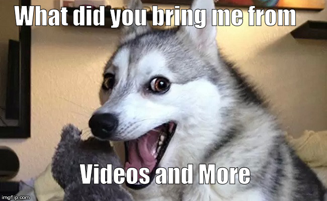 Happy Doggo | What did you bring me from; Videos and More | image tagged in happy doggo | made w/ Imgflip meme maker