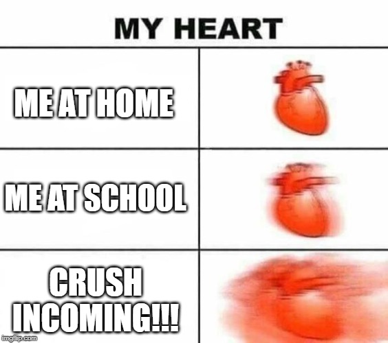My heart blank | ME AT HOME ME AT SCHOOL CRUSH INCOMING!!! | image tagged in my heart blank | made w/ Imgflip meme maker