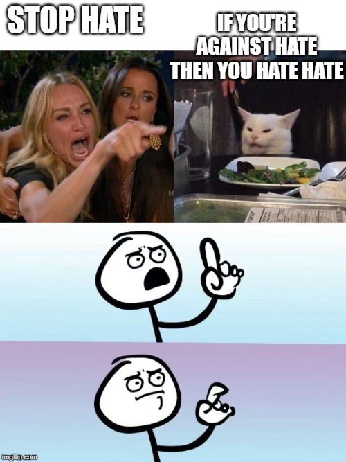  IF YOU'RE AGAINST HATE THEN YOU HATE HATE; STOP HATE | image tagged in memes,woman yelling at cat | made w/ Imgflip meme maker