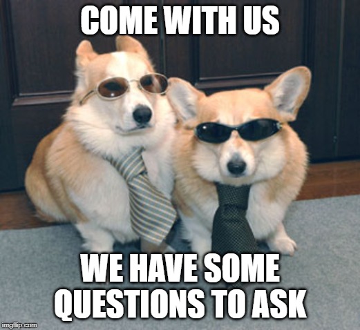 Corgis in suits | COME WITH US; WE HAVE SOME QUESTIONS TO ASK | image tagged in corgis in suits | made w/ Imgflip meme maker