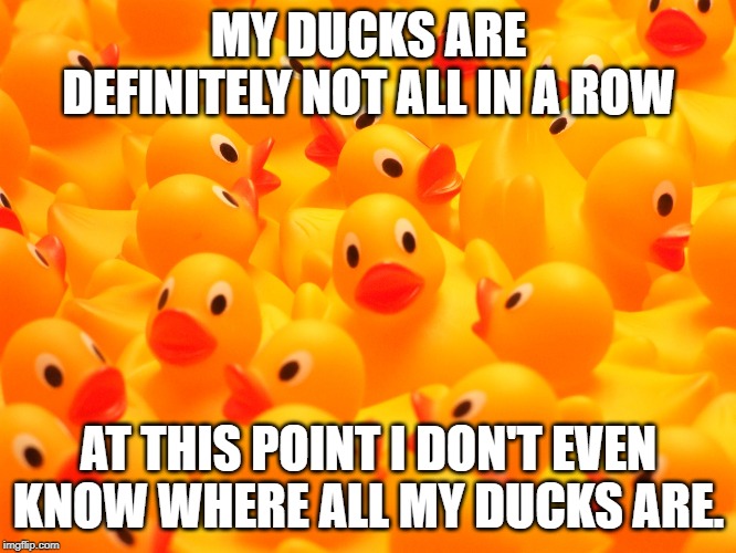 RUbber DUcks | MY DUCKS ARE DEFINITELY NOT ALL IN A ROW; AT THIS POINT I DON'T EVEN KNOW WHERE ALL MY DUCKS ARE. | image tagged in rubber ducks | made w/ Imgflip meme maker