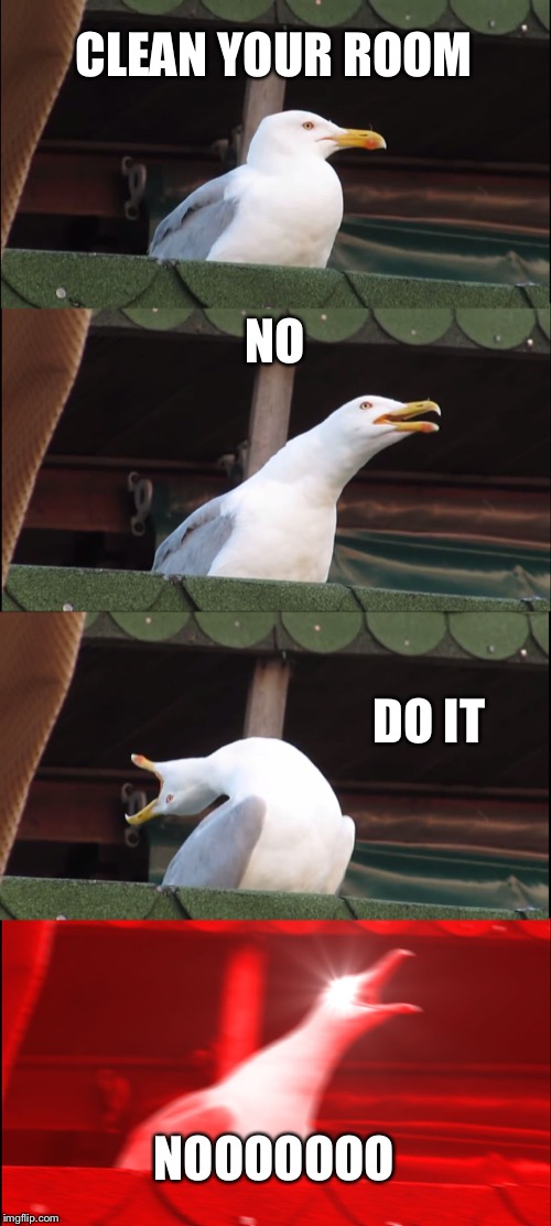 Inhaling Seagull Meme | CLEAN YOUR ROOM; NO; DO IT; NOOOOOOO | image tagged in memes,inhaling seagull | made w/ Imgflip meme maker