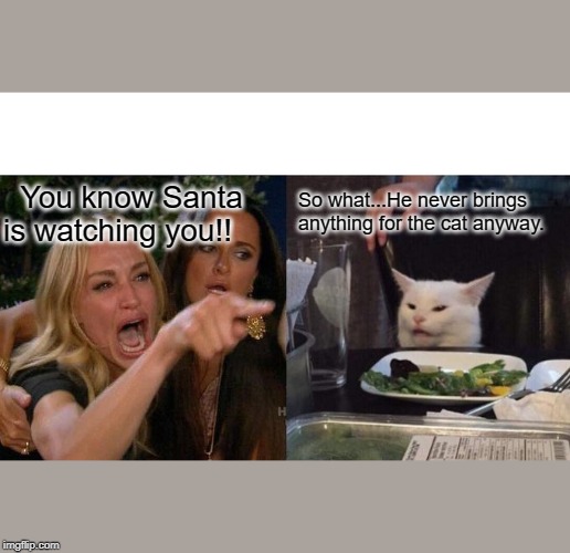Woman Yelling At Cat | You know Santa is watching you!! So what...He never brings anything for the cat anyway. | image tagged in memes,woman yelling at cat | made w/ Imgflip meme maker