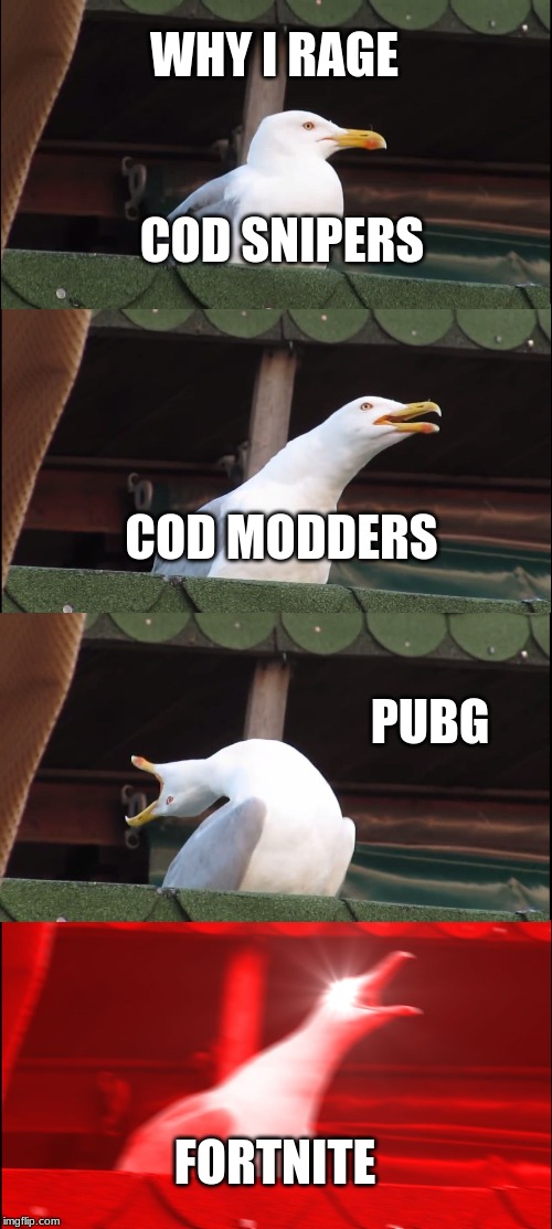 Inhaling Seagull | WHY I RAGE; COD SNIPERS; COD MODDERS; PUBG; FORTNITE | image tagged in memes,inhaling seagull | made w/ Imgflip meme maker