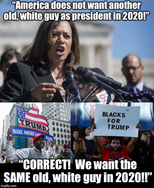 Trump 2020! | “America does not want another old, white guy as president in 2020!”; “CORRECT!  We want the SAME old, white guy in 2020!!” | image tagged in maga | made w/ Imgflip meme maker