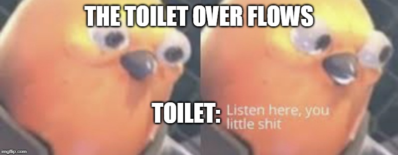 Listen here you little shit bird | THE TOILET OVER FLOWS; TOILET: | image tagged in listen here you little shit bird | made w/ Imgflip meme maker