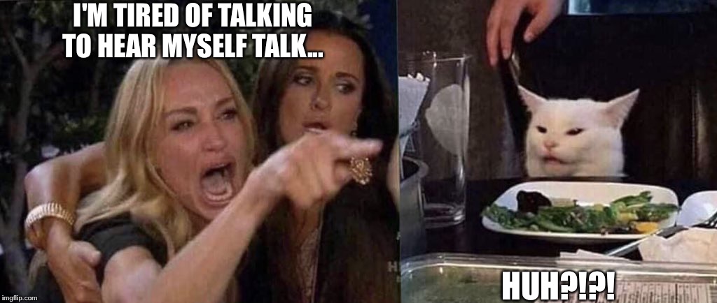 woman yelling at cat | I'M TIRED OF TALKING TO HEAR MYSELF TALK... HUH?!?! | image tagged in woman yelling at cat | made w/ Imgflip meme maker