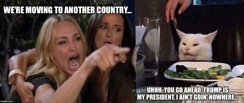 woman yelling at cat | WE'RE MOVING TO ANOTHER COUNTRY... UHHH, YOU GO AHEAD, TRUMP IS MY PRESIDENT, I AIN'T GOIN' NOWHERE... | image tagged in woman yelling at cat | made w/ Imgflip meme maker