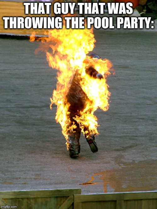 Burnt | THAT GUY THAT WAS THROWING THE POOL PARTY: | image tagged in burnt | made w/ Imgflip meme maker
