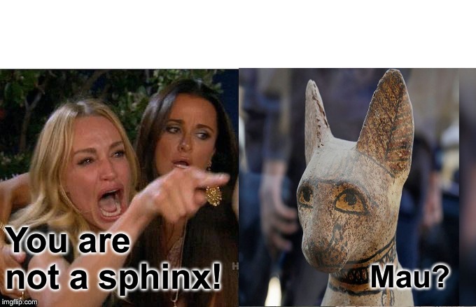 All the cops in the donut shop say | You are not a sphinx! Mau? | image tagged in memes,woman yelling at cat,gods of egypt | made w/ Imgflip meme maker