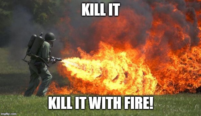 flamethrower | KILL IT KILL IT WITH FIRE! | image tagged in flamethrower | made w/ Imgflip meme maker