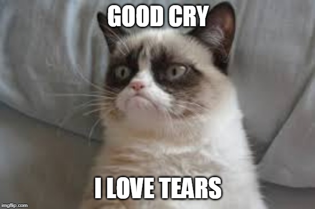 Grumpy cat | GOOD CRY I LOVE TEARS | image tagged in grumpy cat | made w/ Imgflip meme maker