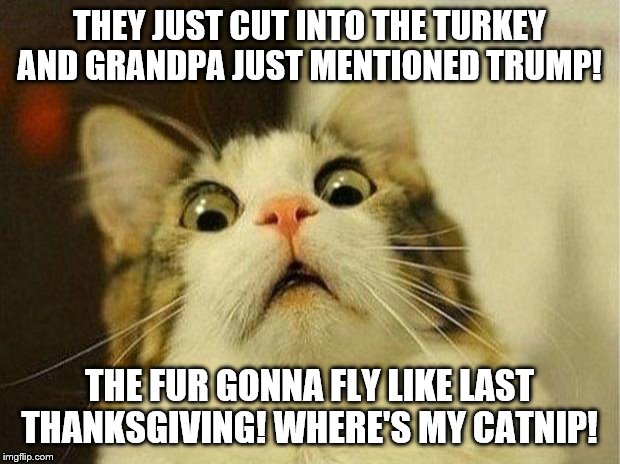 Scared Cat Meme | THEY JUST CUT INTO THE TURKEY AND GRANDPA JUST MENTIONED TRUMP! THE FUR GONNA FLY LIKE LAST THANKSGIVING! WHERE'S MY CATNIP! | image tagged in memes,scared cat | made w/ Imgflip meme maker