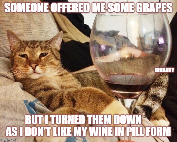 Grapes | SOMEONE OFFERED ME SOME GRAPES; CHIANTY; BUT I TURNED THEM DOWN      AS I DON'T LIKE MY WINE IN PILL FORM | image tagged in wine cat | made w/ Imgflip meme maker
