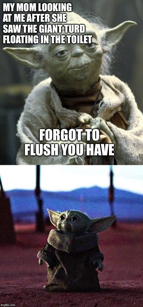 MY MOM LOOKING AT ME AFTER SHE SAW THE GIANT TURD FLOATING IN THE TOILET; FORGOT TO FLUSH YOU HAVE | image tagged in yoda,baby yoda | made w/ Imgflip meme maker