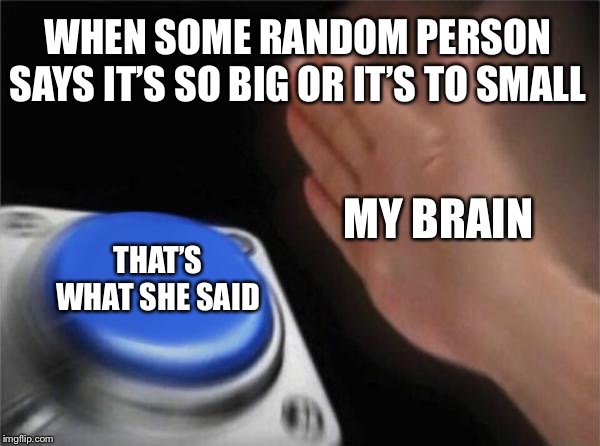 Blank Nut Button Meme | WHEN SOME RANDOM PERSON SAYS IT’S SO BIG OR IT’S TO SMALL; MY BRAIN; THAT’S WHAT SHE SAID | image tagged in memes,blank nut button | made w/ Imgflip meme maker