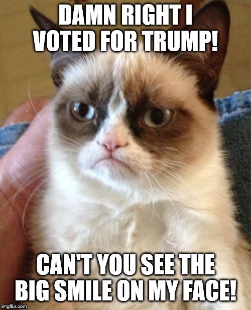 Grumpy Cat | DAMN RIGHT I VOTED FOR TRUMP! CAN'T YOU SEE THE BIG SMILE ON MY FACE! | image tagged in memes,grumpy cat | made w/ Imgflip meme maker