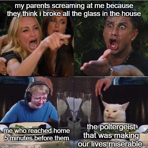 Four panel Taylor Armstrong Pauly D CallmeCarson Cat | my parents screaming at me because they think i broke all the glass in the house; the poltergeist that was making our lives miserable; me who reached home 5 minutes before them | image tagged in four panel taylor armstrong pauly d callmecarson cat | made w/ Imgflip meme maker