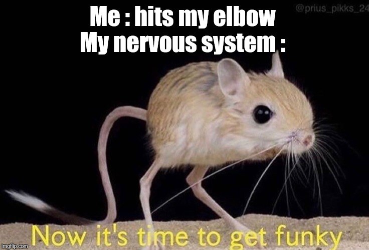 I just hit my elbow aganist my Nutella jug X_X | Me : hits my elbow 
My nervous system : | image tagged in now its time to get funky | made w/ Imgflip meme maker