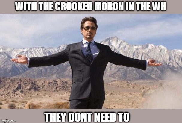 Robert Downey Iron Man | WITH THE CROOKED MORON IN THE WH THEY DONT NEED TO | image tagged in robert downey iron man | made w/ Imgflip meme maker