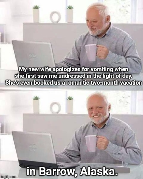 The sun has set there for two lovely months | My new wife apologizes for vomiting when she first saw me undressed in the light of day. She's even booked us a romantic two-month vacation; in Barrow, Alaska. | image tagged in memes,hide the pain harold,marriage,humor | made w/ Imgflip meme maker