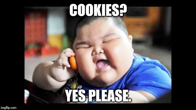 fat baby on phone | COOKIES? YES PLEASE. | image tagged in fat baby on phone | made w/ Imgflip meme maker