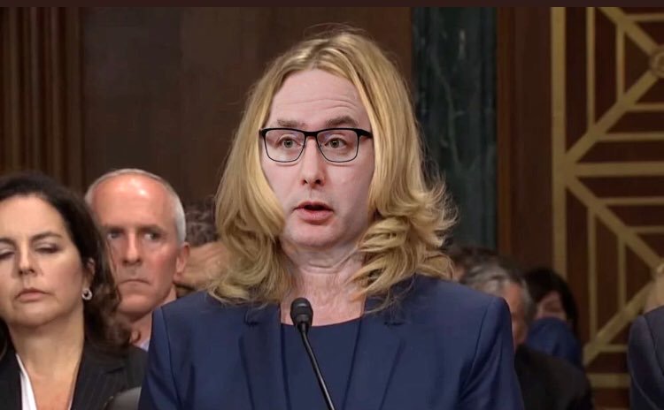 High Quality Vindmann Blasey Ford Blank Meme Template