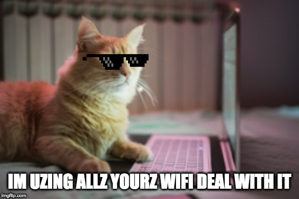 WIFI USERS | IM UZING ALLZ YOURZ WIFI DEAL WITH IT | image tagged in dealwithit | made w/ Imgflip meme maker