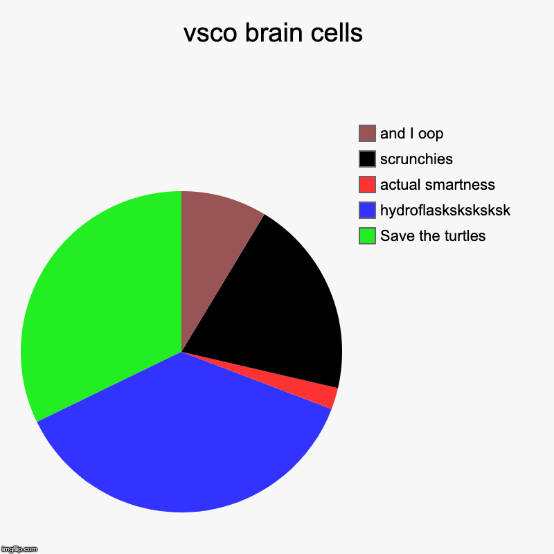 vsco people | vsco brain cells | Save the turtles, hydroflasksksksksk, actual smartness, scrunchies, and I oop | image tagged in charts,pie charts,vsco | made w/ Imgflip chart maker