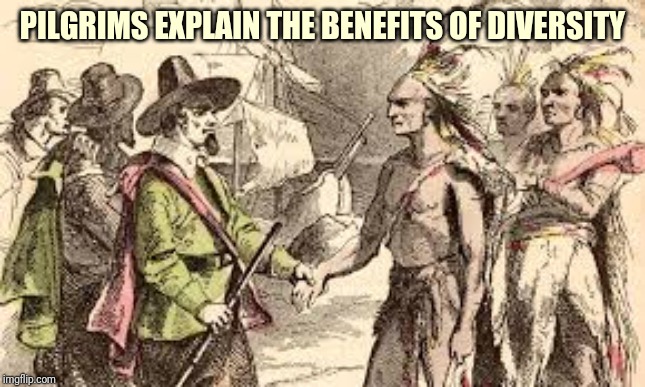 Indians n pilgrams | PILGRIMS EXPLAIN THE BENEFITS OF DIVERSITY | image tagged in indians n pilgrams | made w/ Imgflip meme maker