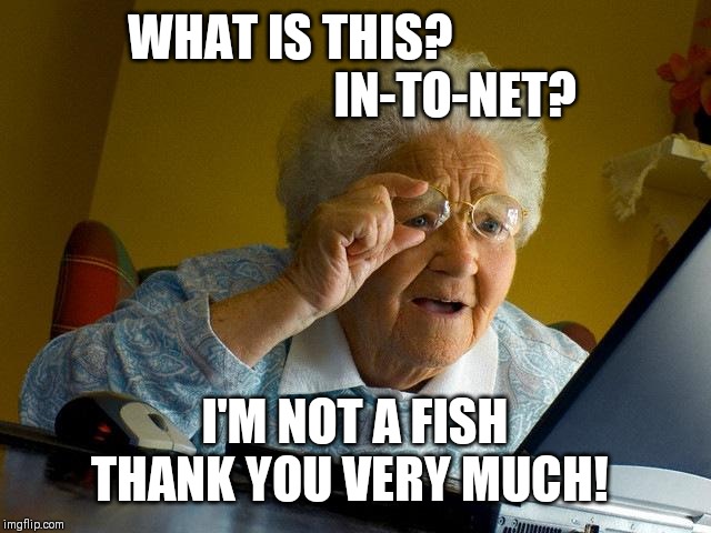 Grandma Finds The Internet Meme | WHAT IS THIS?                                   IN-TO-NET? I'M NOT A FISH THANK YOU VERY MUCH! | image tagged in memes,grandma finds the internet | made w/ Imgflip meme maker