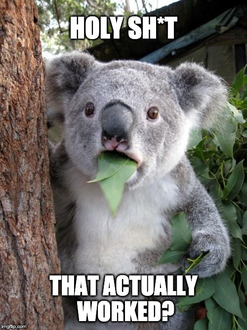 Surprised Koala Meme | HOLY SH*T; THAT ACTUALLY  WORKED? | image tagged in memes,surprised koala | made w/ Imgflip meme maker