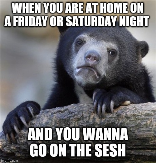 How I feel | WHEN YOU ARE AT HOME ON A FRIDAY OR SATURDAY NIGHT; AND YOU WANNA GO ON THE SESH | image tagged in memes,confession bear,sesh | made w/ Imgflip meme maker