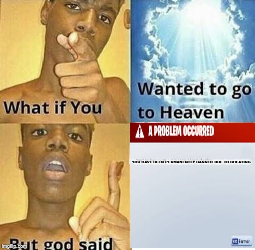 You have been permanently banned due to cheating | YOU HAVE BEEN PERMANENTLY BANNED DUE TO CHEATING | image tagged in what if you wanted to go to heaven,banned,cheating,fortnite meme,memes | made w/ Imgflip meme maker