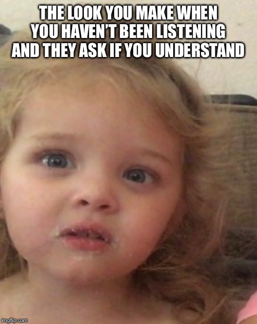 No answer | THE LOOK YOU MAKE WHEN YOU HAVEN’T BEEN LISTENING AND THEY ASK IF YOU UNDERSTAND | image tagged in no answer | made w/ Imgflip meme maker