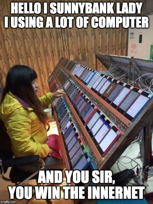 HELLO I SUNNYBANK LADY
I USING A LOT OF COMPUTER; AND YOU SIR, YOU WIN THE INNERNET | made w/ Imgflip meme maker