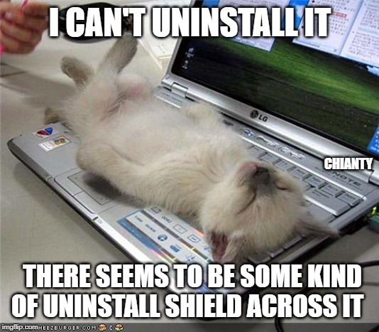 Uninstall | I CAN'T UNINSTALL IT; CHIANTY; THERE SEEMS TO BE SOME KIND OF UNINSTALL SHIELD ACROSS IT | image tagged in first world problems | made w/ Imgflip meme maker