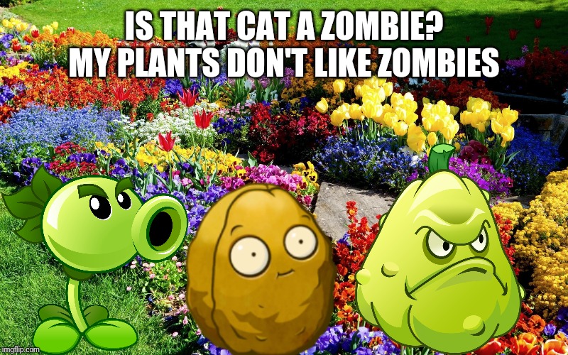 Flower garden  | IS THAT CAT A ZOMBIE? MY PLANTS DON'T LIKE ZOMBIES | image tagged in flower garden | made w/ Imgflip meme maker