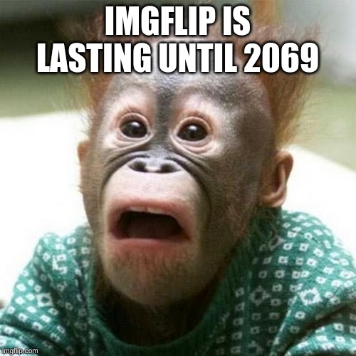 Shocked Monkey | IMGFLIP IS LASTING UNTIL 2069 | image tagged in shocked monkey | made w/ Imgflip meme maker