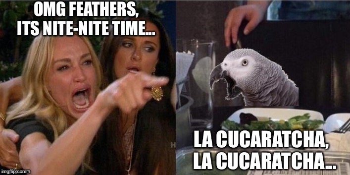 Woman Yelling at Parrot | OMG FEATHERS, ITS NITE-NITE TIME... LA CUCARATCHA,   LA CUCARATCHA... | image tagged in woman yelling at parrot | made w/ Imgflip meme maker