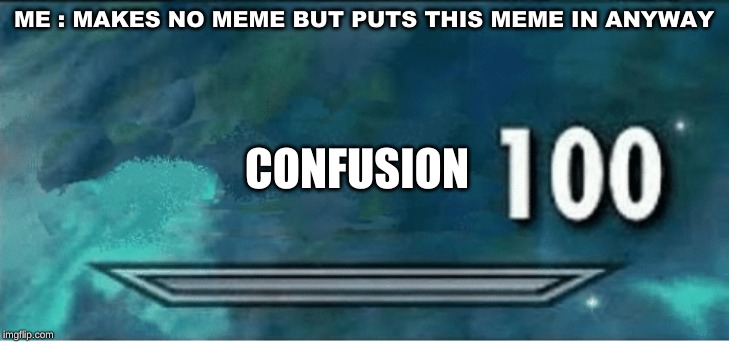 Skyrim 100 Blank | ME : MAKES NO MEME BUT PUTS THIS MEME IN ANYWAY; CONFUSION | image tagged in skyrim 100 blank | made w/ Imgflip meme maker