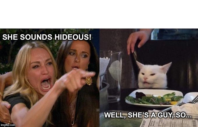 Woman Yelling At Cat Meme |  SHE SOUNDS HIDEOUS! WELL, SHE’S A GUY, SO... | image tagged in memes,woman yelling at cat | made w/ Imgflip meme maker