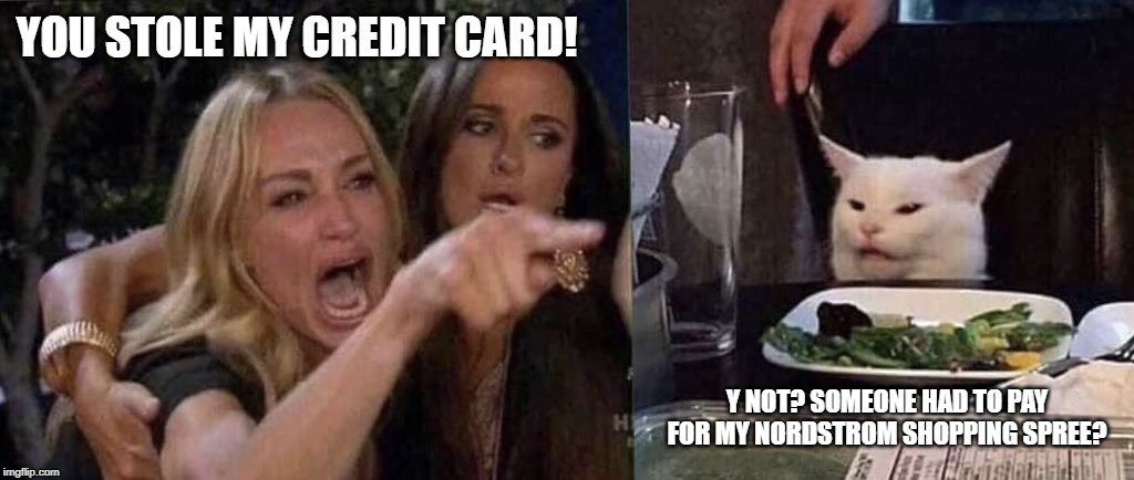 woman yelling at cat | YOU STOLE MY CREDIT CARD! Y NOT? SOMEONE HAD TO PAY FOR MY NORDSTROM SHOPPING SPREE? | image tagged in woman yelling at cat | made w/ Imgflip meme maker