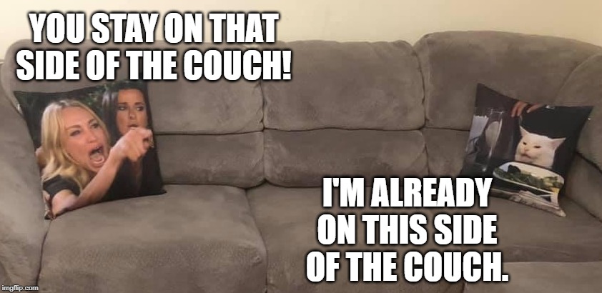 Women and Cat | YOU STAY ON THAT SIDE OF THE COUCH! I'M ALREADY ON THIS SIDE OF THE COUCH. | image tagged in women and cat | made w/ Imgflip meme maker